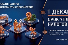 Что такое налоговое уведомление и как его исполнить